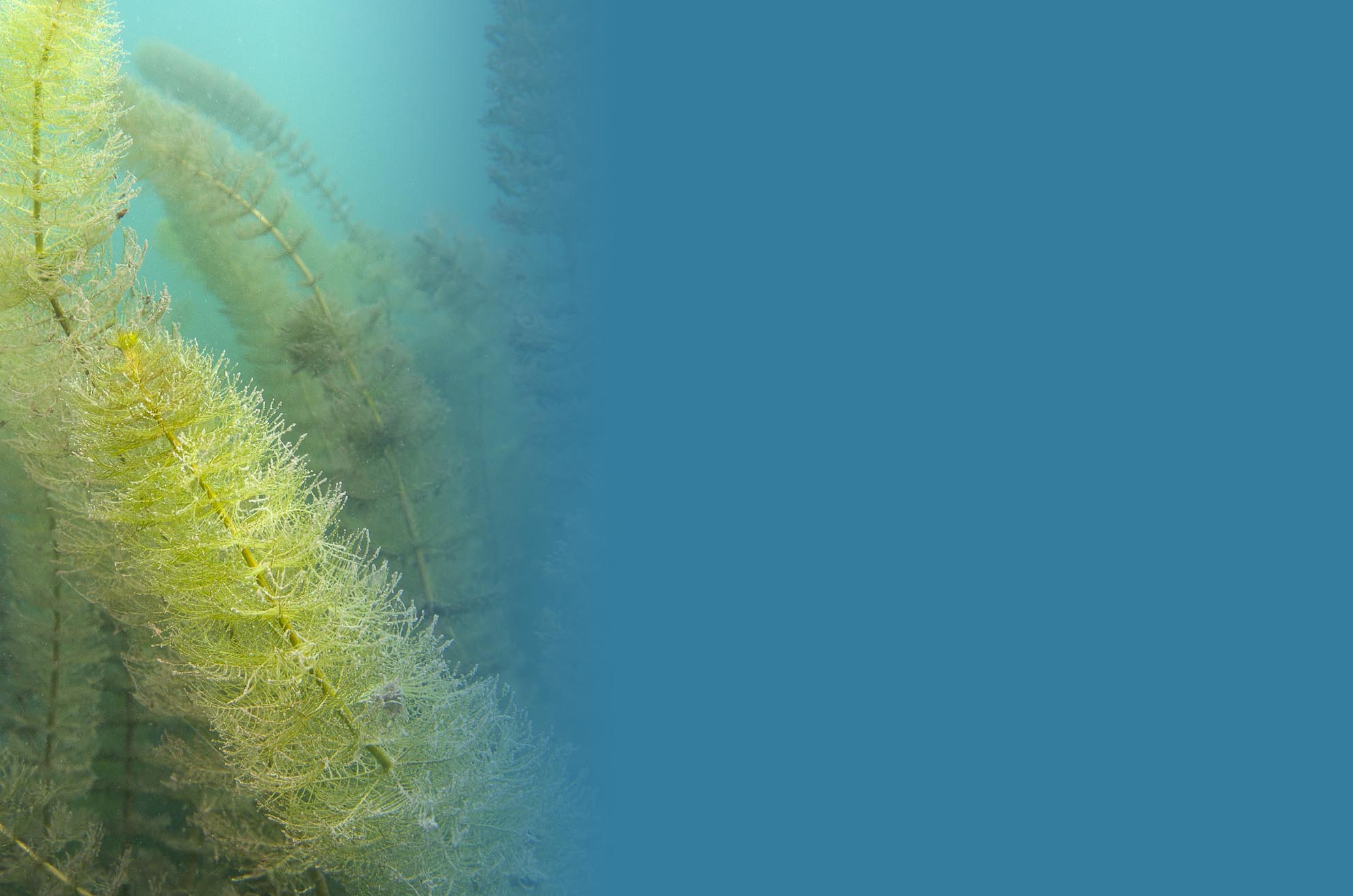 Time 2 Dive - &eacute;cole de plong&eacute;e Chablais